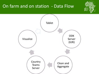 Baseline activities an data management