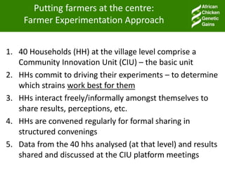 Putting farmers at the centre:
Farmer Experimentation Approach
1. 40 Households (HH) at the village level comprise a
Community Innovation Unit (CIU) – the basic unit
2. HHs commit to driving their experiments – to determine
which strains work best for them
3. HHs interact freely/informally amongst themselves to
share results, perceptions, etc.
4. HHs are convened regularly for formal sharing in
structured convenings
5. Data from the 40 hhs analysed (at that level) and results
shared and discussed at the CIU platform meetings
 