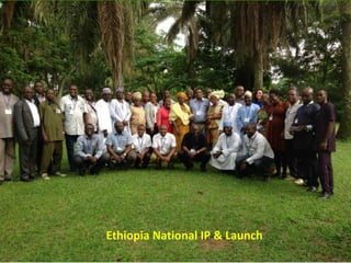 Facilitating partnerships and institutional engagements for effective implementation: An update