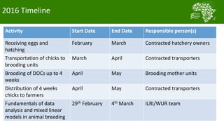 A platform for testing, delivering, and continuously improving tropically-adapted chickens for productivity growth in sub-Saharan Africa