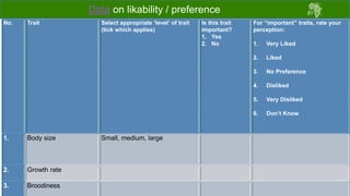 Draft chicken performance testing protocols: Deliberations with country teams 