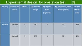 Draft chicken performance testing protocols: Deliberations with country teams 