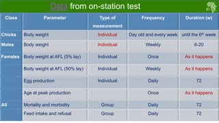 Draft chicken performance testing protocols: Deliberations with country teams 