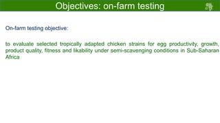 Draft chicken performance testing protocols: Deliberations with country teams 