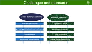 Draft chicken performance testing protocols: Deliberations with country teams 