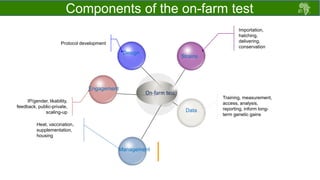 Draft chicken performance testing protocols: Deliberations with country teams 