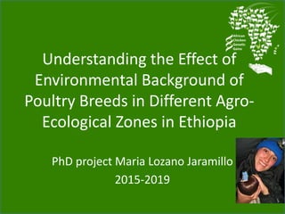 ACGG/KOEPON—Our role in the program