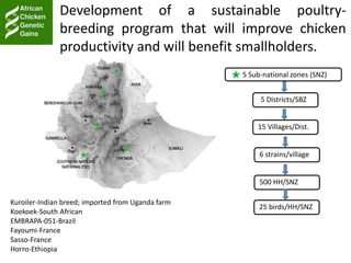 ACGG/KOEPON—Our role in the program