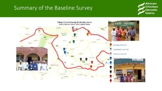 A platform for testing, delivering, and continuously improving tropically-adapted chickens for productivity growth in sub-Saharan Africa—Nigeria