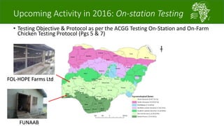 A platform for testing, delivering, and continuously improving tropically-adapted chickens for productivity growth in sub-Saharan Africa—Nigeria