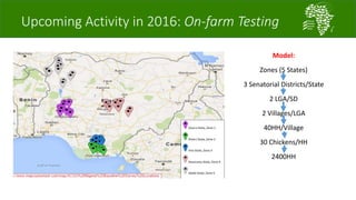 A platform for testing, delivering, and continuously improving tropically-adapted chickens for productivity growth in sub-Saharan Africa—Nigeria