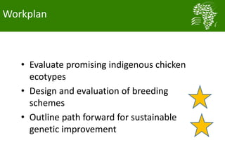 Long term genetic gains implementation plan