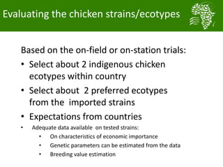 Long term genetic gains implementation plan