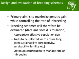 Long term genetic gains implementation plan