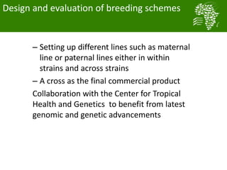Long term genetic gains implementation plan