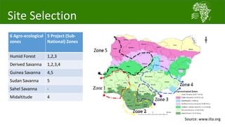 Introducing the African Chicken Genetic Gains project
