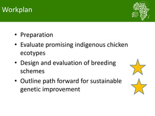 Long term genetic gains implementation plan for the African Chicken Genetic Gains program