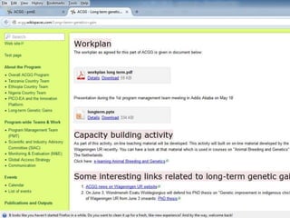 Long term genetic gains implementation plan for the African Chicken Genetic Gains program