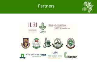 Communications and Knowledge management in the African Chicken Genetic Gains program