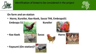  ACGG Ethiopia overview