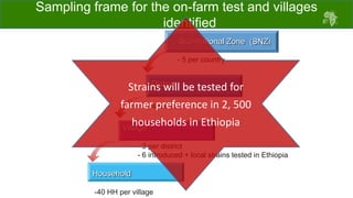 ACGG: A platform for testing, delivering, and continuously improving tropically-adapted chickens for productivity growth in sub-Saharan Africa