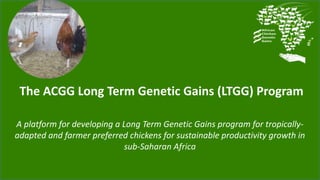 ACGG: A platform for testing, delivering, and continuously improving tropically-adapted chickens for productivity growth in sub-Saharan Africa