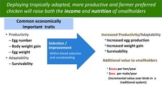 ACGG: A platform for testing, delivering, and continuously improving tropically-adapted chickens for productivity growth in sub-Saharan Africa
