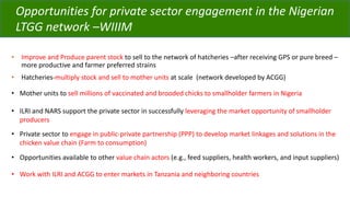 ACGG: A platform for testing, delivering, and continuously improving tropically-adapted chickens for productivity growth in sub-Saharan Africa