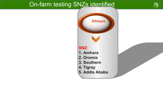 ACGG: A platform for testing, delivering, and continuously improving tropically-adapted chickens for productivity growth in sub-Saharan Africa