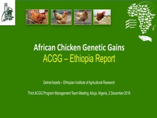 African Chicken Genetic Gains
GetnetAssefa – EthiopianInstitute ofAgricultural Research
ThirdACGG Program ManagementTeam Meeting,Abuja, Nigeria, 2 December2016
ACGG – Ethiopia Report
 