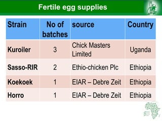 Fertile egg supplies
Strain No of
batches
source Country
Kuroiler 3
Chick Masters
Limited
Uganda
Sasso-RIR 2 Ethio-chicken Plc Ethiopia
Koekoek 1 EIAR – Debre Zeit Ethiopia
Horro 1 EIAR – Debre Zeit Ethiopia
 