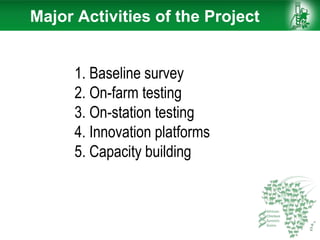 1. Baseline survey
2. On-farm testing
3. On-station testing
4. Innovation platforms
5. Capacity building
Major Activities of the Project
 