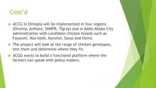 Summary of key outcomes from the first ACGG Ethiopia innovation platform (IP) meeting