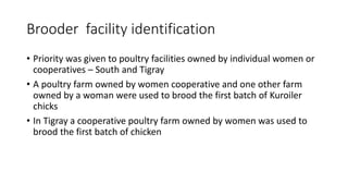 Gender related activities of ACGG-Ethiopia