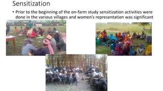Gender related activities of ACGG-Ethiopia