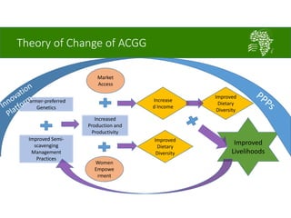 A gender strategy for ACGG