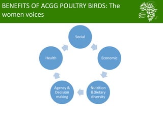 Nigeria smallholder women poultry farmers reaping the benefits of ACGG project: Evidence from CIPs
