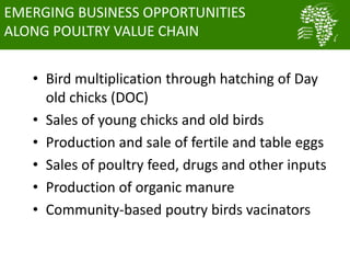 Nigeria smallholder women poultry farmers reaping the benefits of ACGG project: Evidence from CIPs