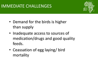 Nigeria smallholder women poultry farmers reaping the benefits of ACGG project: Evidence from CIPs