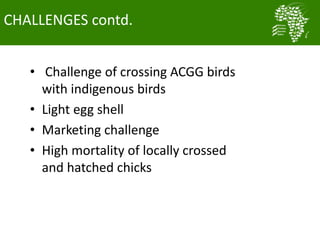 Nigeria smallholder women poultry farmers reaping the benefits of ACGG project: Evidence from CIPs