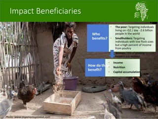 African Chicken Genetic Gains: A platform for testing, delivering, and continuously improving tropically-adapted chickens for productivity growth in sub-Saharan Africa