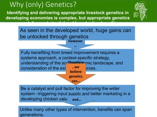 African Chicken Genetic Gains: A platform for testing, delivering, and continuously improving tropically-adapted chickens for productivity growth in sub-Saharan Africa