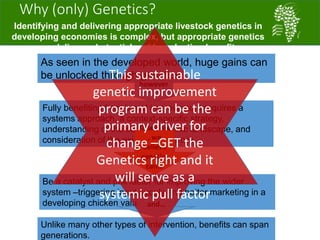 African Chicken Genetic Gains: A platform for testing, delivering, and continuously improving tropically-adapted chickens for productivity growth in sub-Saharan Africa