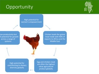 African Chicken Genetic Gains: A platform for testing, delivering, and continuously improving tropically-adapted chickens for productivity growth in sub-Saharan Africa