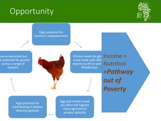 African Chicken Genetic Gains: A platform for testing, delivering, and continuously improving tropically-adapted chickens for productivity growth in sub-Saharan Africa