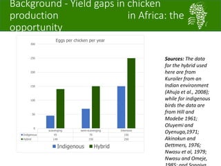 African Chicken Genetic Gains: A platform for testing, delivering, and continuously improving tropically-adapted chickens for productivity growth in sub-Saharan Africa