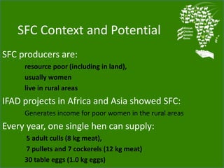 Chicken genetic resources and sustainable rural livelihoods in Nigeria