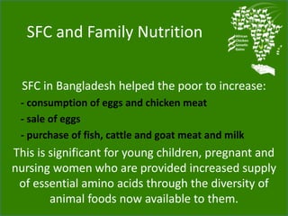 Chicken genetic resources and sustainable rural livelihoods in Nigeria