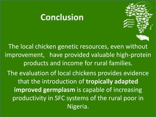 Chicken genetic resources and sustainable rural livelihoods in Nigeria