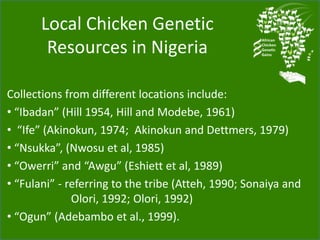Chicken genetic resources and sustainable rural livelihoods in Nigeria